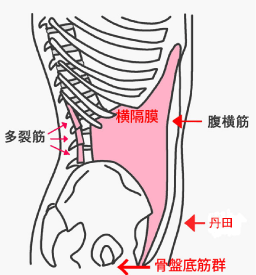 http://www.kizuchiro.com/director_blog/x/0611_1.gif