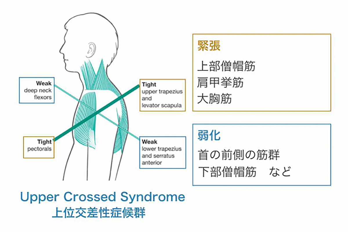 デスクワーカーを研究してわかったこと。